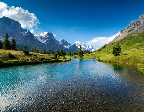 Les avantages d'un séjour en camping chalet