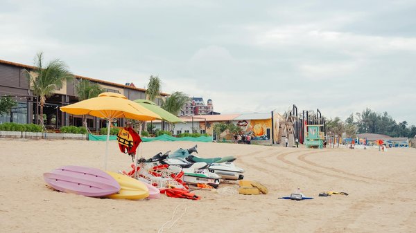 Faune et camping : Comment cohabiter respectueusement avec les animaux ?