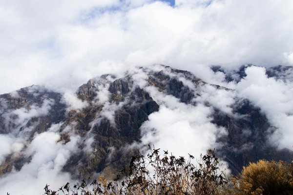 Navette en van premium à megève : le choix du transport haut de gamme pour vos transferts