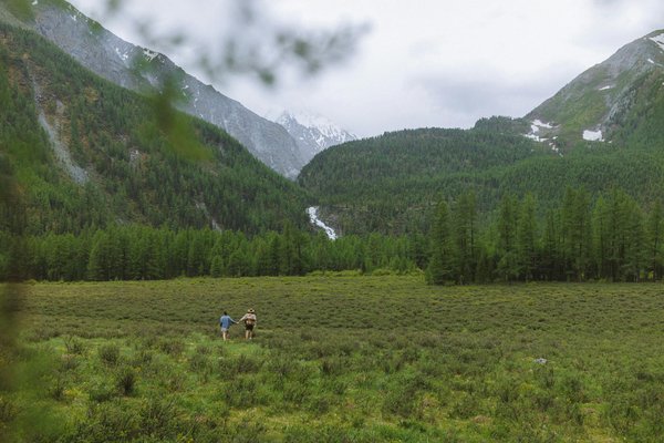 Les cabanes dans les arbres, une location insolite à découvrir